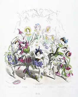 Grandville Prints: Stunning Hand-colored plate from 'Les Fleurs Animees by J.J.Grandville 1867