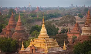 Woody Plant Prints: Stupas and temples in the Bagan Archaeological Zone on the plain of Bagan, Myanmar