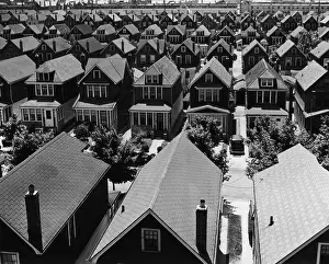 Conformity Prints: Suburban Queens