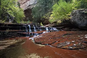 Plateau Prints: The Subway, Zion Plateau, Zion National Park, Utah, USA