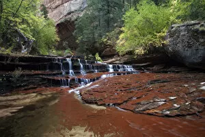 Images Dated 7th April 2011: The Subway, Zion Plateau, Zion National Park, Utah, USA