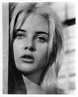 Lac0039 Prints: Sue Lyon In The Night Of The Iguana