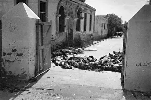 Corpse Prints: Suez Crisis