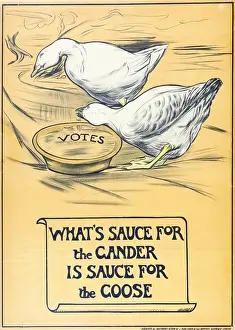 Prints of Pro-suffrage poster depicting a pair of geese with a bowl marked Votes, captioned What's Sauce for the Gander is Sauce for the Goose Historic Moments from the Women’s Fight for the Vote: Suffrage Geese Poster