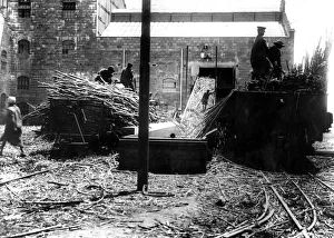 Unloading Gallery: Sugar Cane Factory