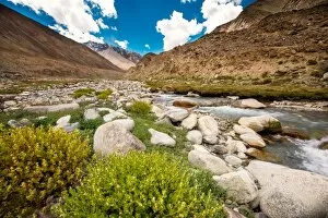 Images Dated 26th August 2014: Summer in Ladakh