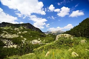 Images Dated 12th August 2015: Summer landscape from Pirin national park