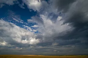 Summer morning massive cloud formations over wheat fields on South Dakota prairie, USA