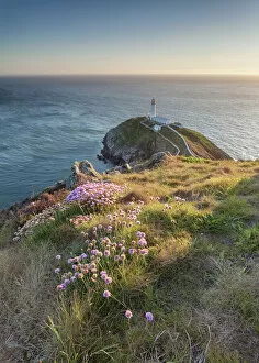 Beautiful Landscapes by George Johnson Gallery: Summer at South Stack