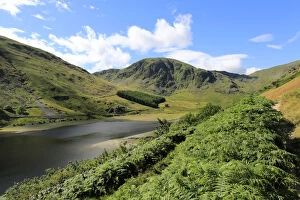 Dave Porter's UK, European and World Landscapes Gallery: Summer view of Harter fell, Mardale valley, Lake District National Park, Cumbria County