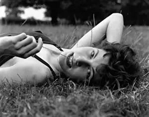 Summer's Day