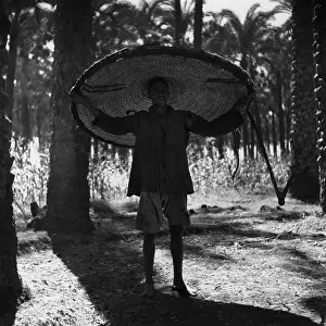 Unusual Scale Prints: Sun Shade