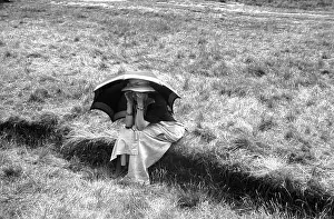 Sun Shade