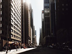 Urban Road Gallery: Sun shining through the Fifth Avenue, Manhattan, New York City