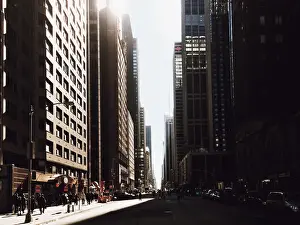 Sun shining through the Fifth Avenue, Manhattan, New York City