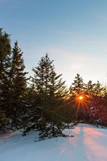 Gallo Landscapes Gallery: Sun shining through spruce trees on Hanson Top, Green Mountain, Effingham, New Hampshire, USA
