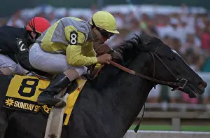 Sunday Silence and Easy Goer Competing in Preakness