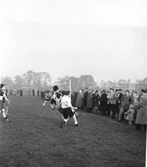 Sunday Spectators