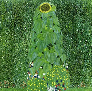 Klimt Prints: Sunflower