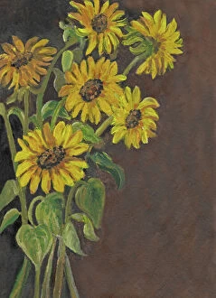 Brown Gallery: Sunflower arrangement
