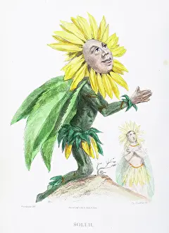 Grandville Prints: The sunflower- Stunning Hand-colored plate from 'Les Fleurs Animees by J