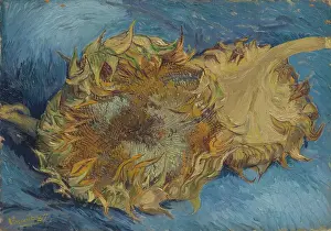 Van Gogh Prints: Sunflowers