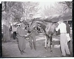 Hialeah Prints: Sunny Fitzsimmons Holding His Horse's Reins