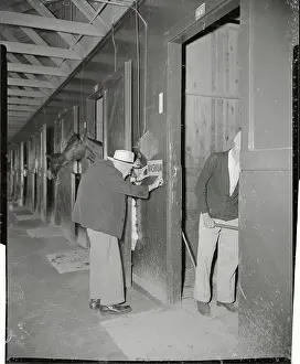 Hialeah Prints: Sunny Jim Fitzsimmons Displaying Sign in Horse Stables