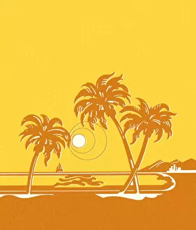 Palm Collection: Sunny Tropical Scene