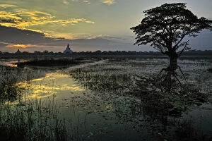 Images Dated 22nd February 2015: Sunrise at Anuradhapura