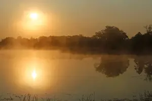 Morning Fog Prints: Sunrise, autumn fog over Big Rock Lake near Detroit Lakes, Minnesota, USA