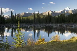 sunrise in autumn in kananaskis