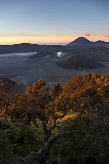 Treetop Gallery: Sunrise at Bromo volcano