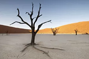 Amazing Deserts Gallery: Sunrise at Dead Vlei, Sossusvlei, Namibia