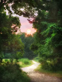 Vicki Jauron Wildlife Photography Prints: Sunrise at the End of the Path at Elizabeth Morton Wildlife Preserve in Sag Harbor