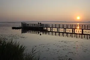 Sunsets Prints: Sunrise at Federsee lake, sunrise