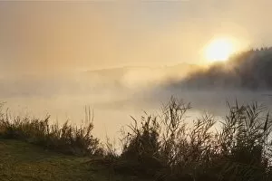 Morning Fog Gallery: Sunrise at Lake Ellertshaeuser, Stadtlauringen, Schweinfurter Land district, Lower Franconia