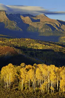 Images Dated 1st October 2016: Sunrise on mountain and valley landscape, San Juan Mountains, Colorado, USA