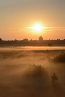 Images Dated 24th July 2014: Sunrise in Recker Moor with ground fog, Recke, North Rhine-Westphalia, Germany