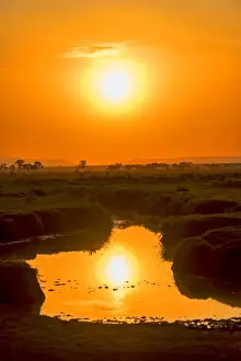 Savannah Prints: Sunrise with reflections in a lake, Msai Mara National Reserve, Kenya