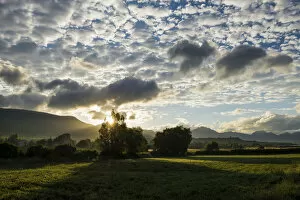 Images Dated 8th July 2014: Sunrise, Sainte-Jalle, Drome, Rhone-Alpes, Provence, France