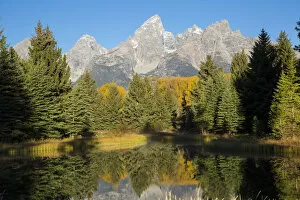Images Dated 28th September 2016: Sunrise at Schwabacher Landing in fall, Grand Teton National Park, Wyoming, USA