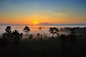 Images Dated 22nd October 2011: Sunrise at Tung Salang Luang National Park