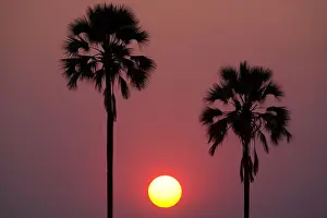 Technique Prints: Sunset, Botswana