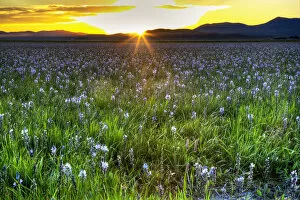 Images Dated 1st June 2012: Sunset in Camas Prairie, Fairfield, Idaho, USA