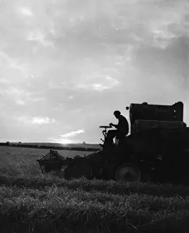 Occupations Natural Prints: Sunset Harvest