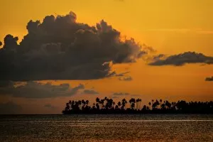 Images Dated 24th March 2014: Sunset and an island with palm trees, Sulawesi, Indonesia
