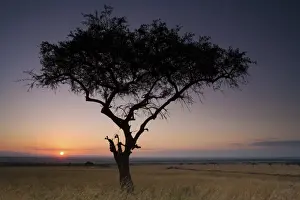 Sunset, Kenya