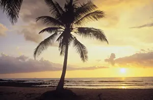 Southeast Prints: Sunset at a palm beach, Relax Bay, Ko Lanta island, Krabi, Thailand, Southeast Asia