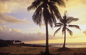 Palmaceae Gallery: Sunset at a palm beach, Relax Bay, Ko Lanta island, Krabi, Thailand, Southeast Asia
